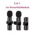 Microphone Portable Audio